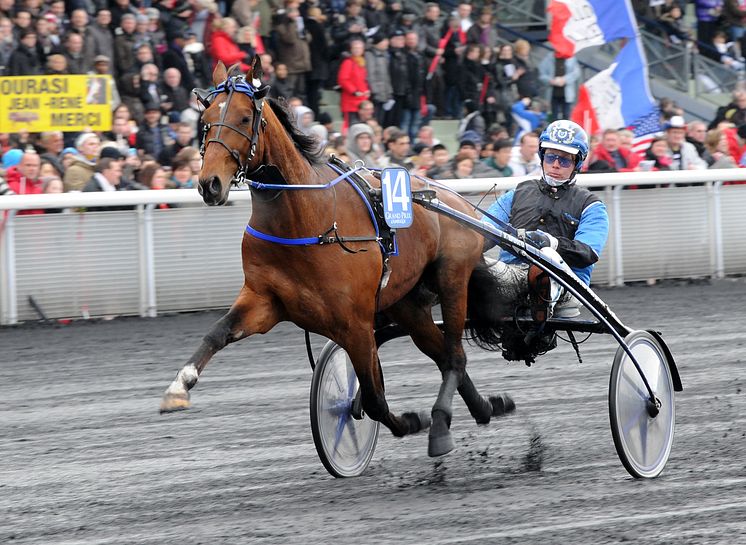 Timoko (Frankrike)