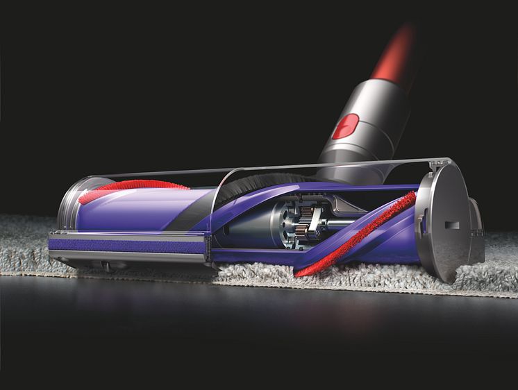 Dyson Cyclone V10