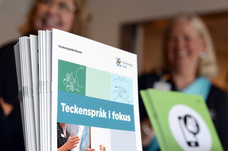 Teckensprak i fokus