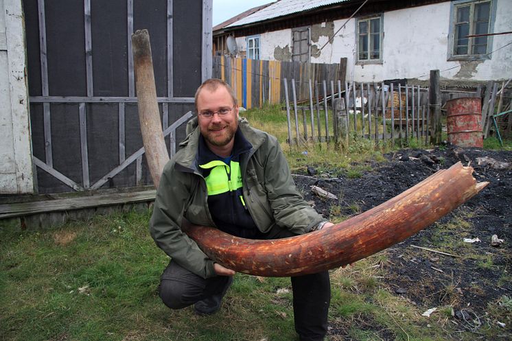 Love Dalén med mammutbete i Sibiren. 