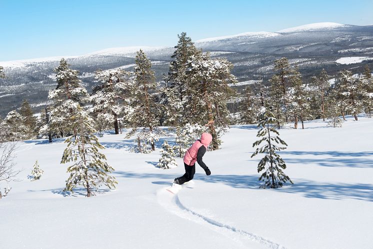 Stöten i Sälen friåkning snö_7506688