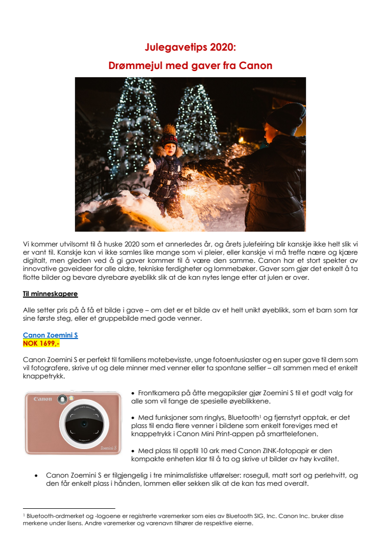 2020 Canon Christmas Gift Guide.pdf