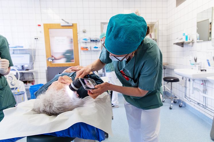 Bild1.jpg
