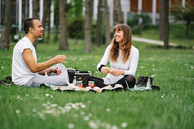 Picknick Seenland Oder-Spree