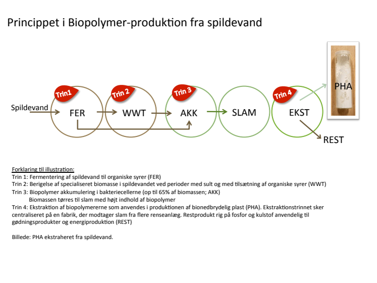 Biopol - illustration til PM pdf