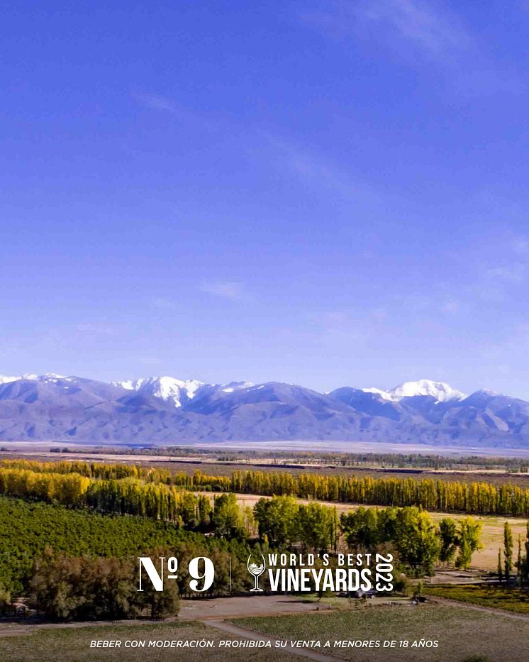 World best vineyards 2023 carruseles_Carrusel 2 - 3