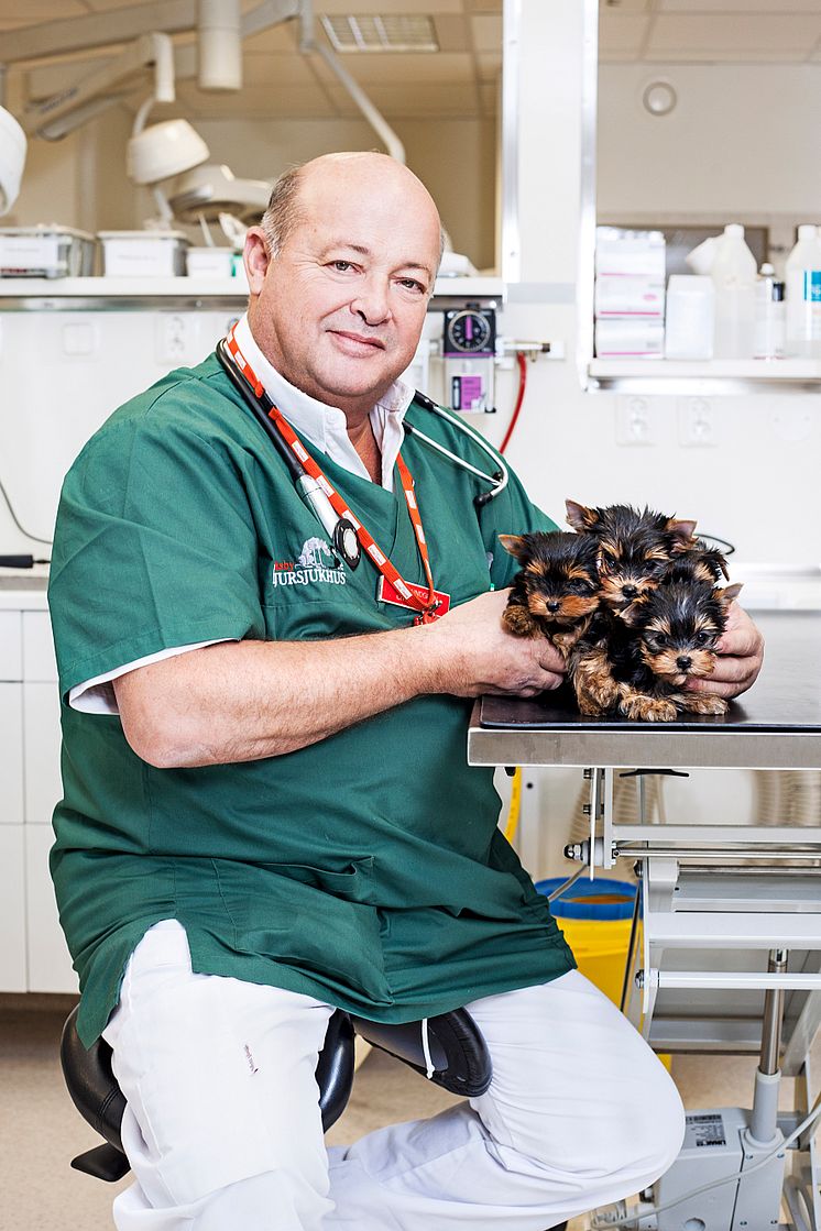 veterinär Jannis