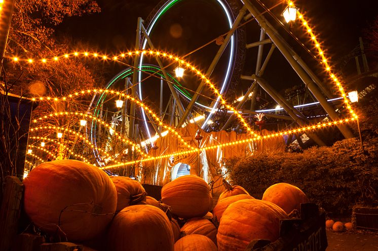 Halloween foto Stefan Karlberg  3