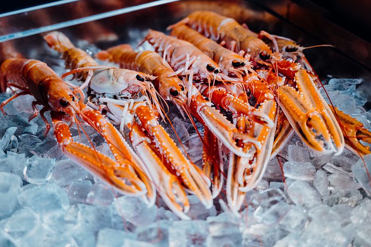 Norwegian Langoustines.jpg