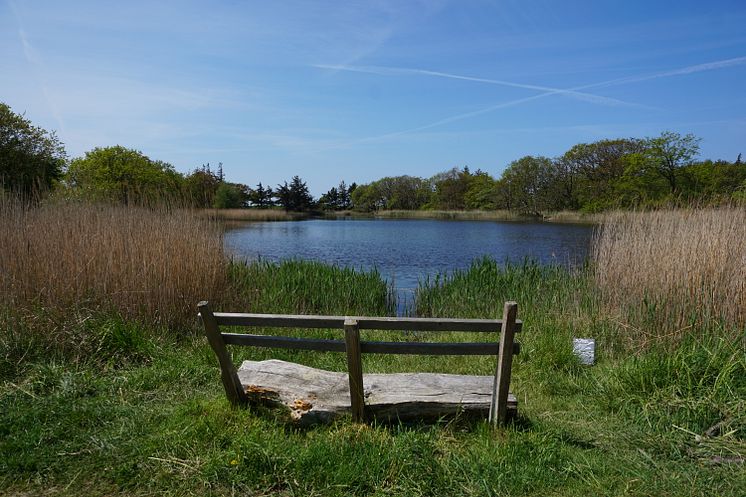 NABU Wasservogelreservat Wallnau