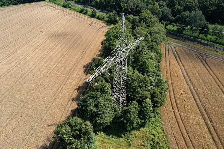 110-kV-Leitung Cloppenburg.jpg