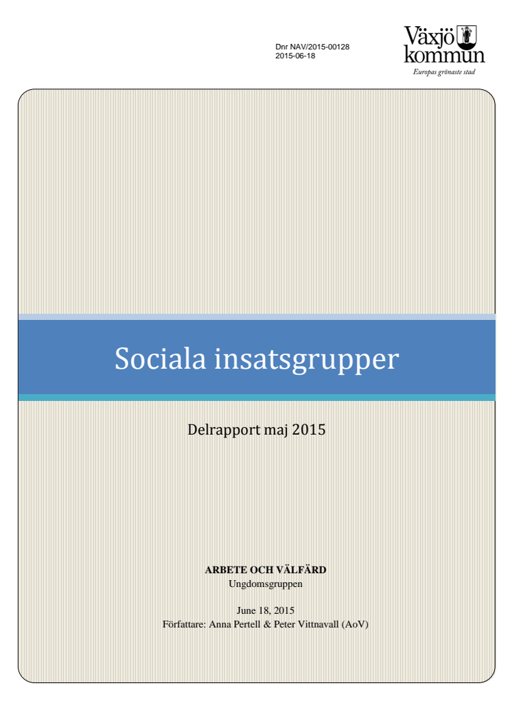 Rapport Sociala insatsgrupper.pdf