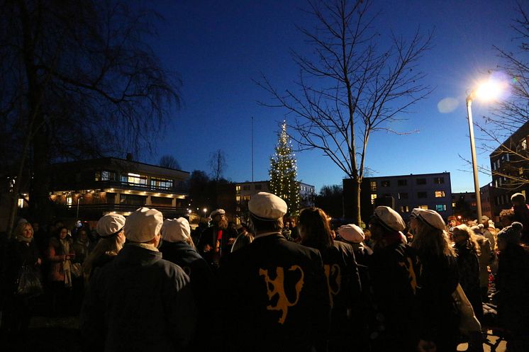 Julegrantenning på Kringsjå Studentby 