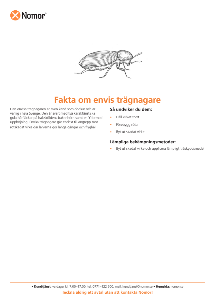 Fakta om envis trägnagare