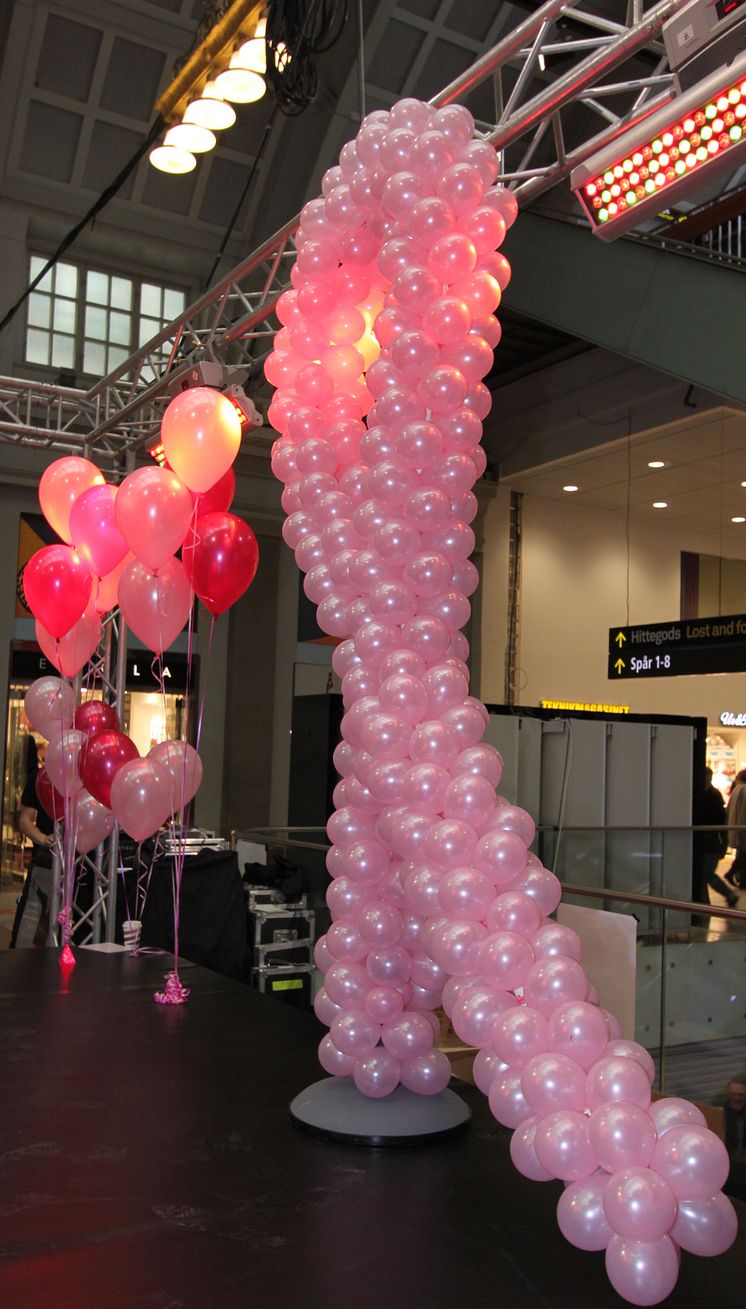 Breast Health Day 2011, Centralen i Stockholm