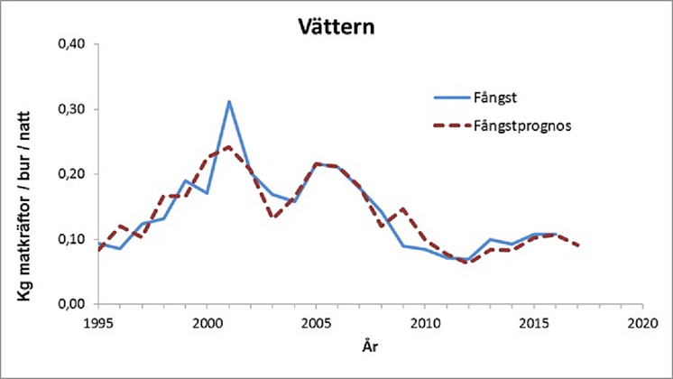 Så blir kräftfångsterna i år