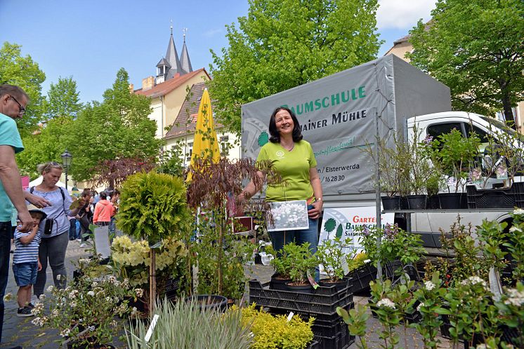 Frühlings- und Genussmarkt Delitzsch