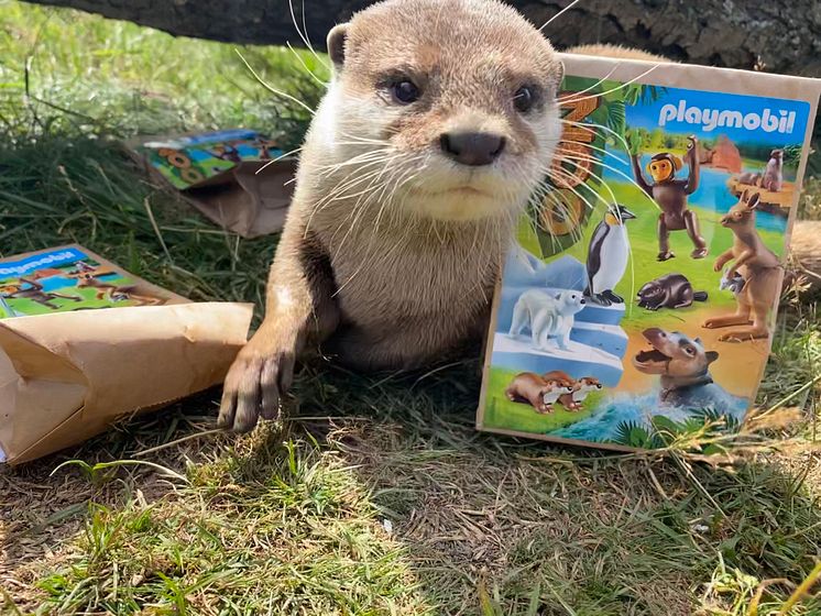 Tierischer Spaß im Hochwildschutzpark Hunsrück