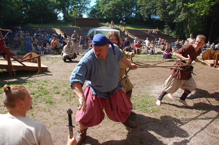Vikingafejd