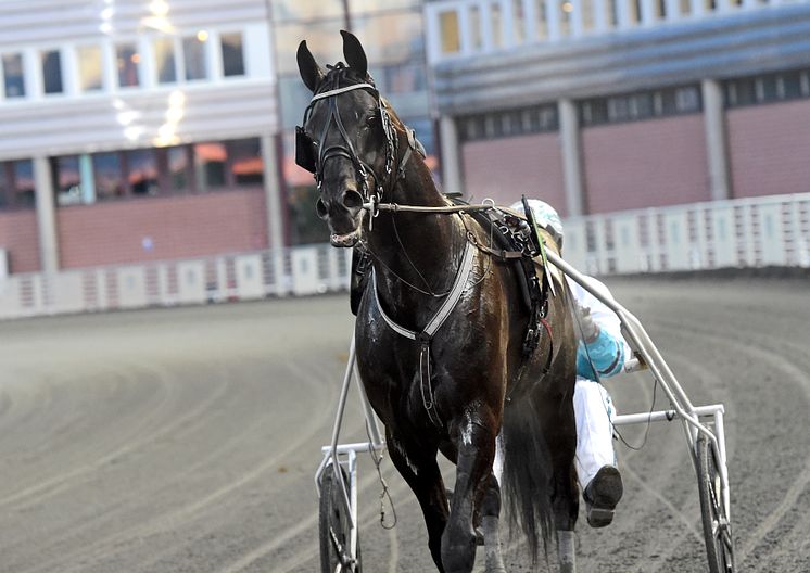 Sorbet har kvalat in till Elitloppet