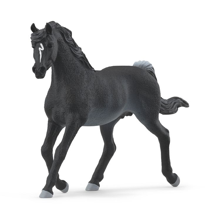 13981_Horse Club_Araber Hengst (c)Schleich