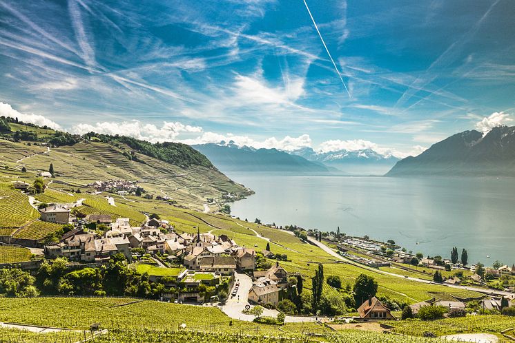 Lavaux-Fruehling © MaudeRion