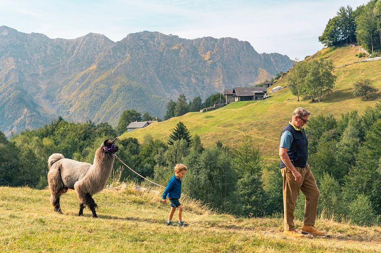 Lama-Trekking am Monte Comino, Tessin © Schweiz Tourismus / Christian Meisner