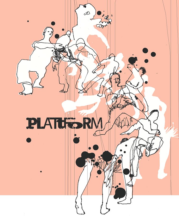 2018-01-19_Plattform