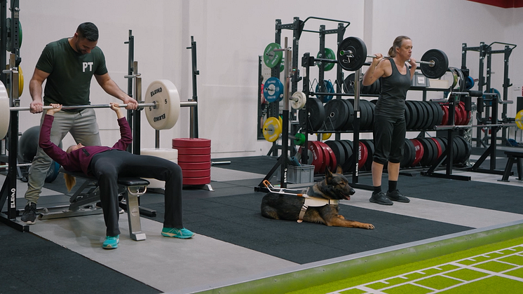 Pressbild_ledarhund_gym.png
