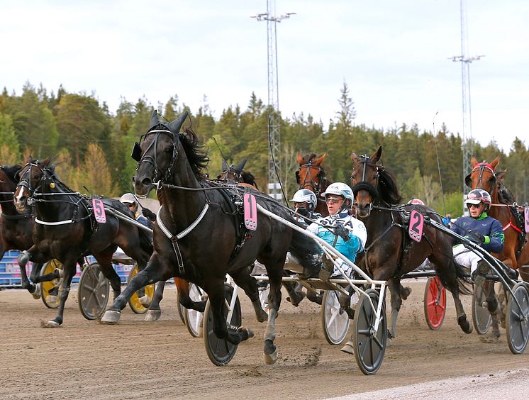 Sorbet och Örjan Kihlström vinner H.K.H Prins Daniels lopp