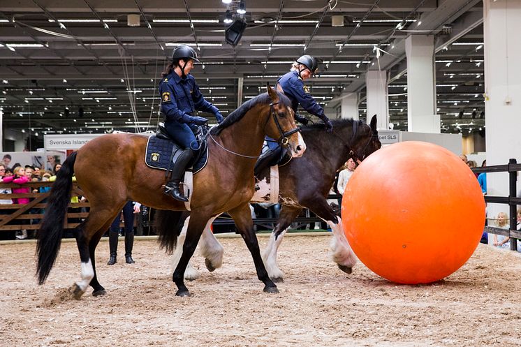 Polisens uppvisning