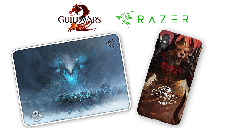 Guild Wars 2 Partners