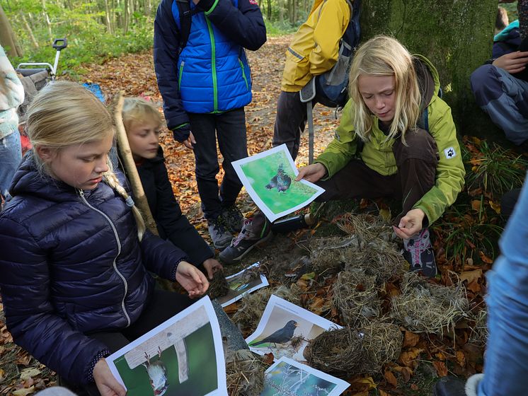 Louisenlund Forschercamp MINT Akademie Grundschule