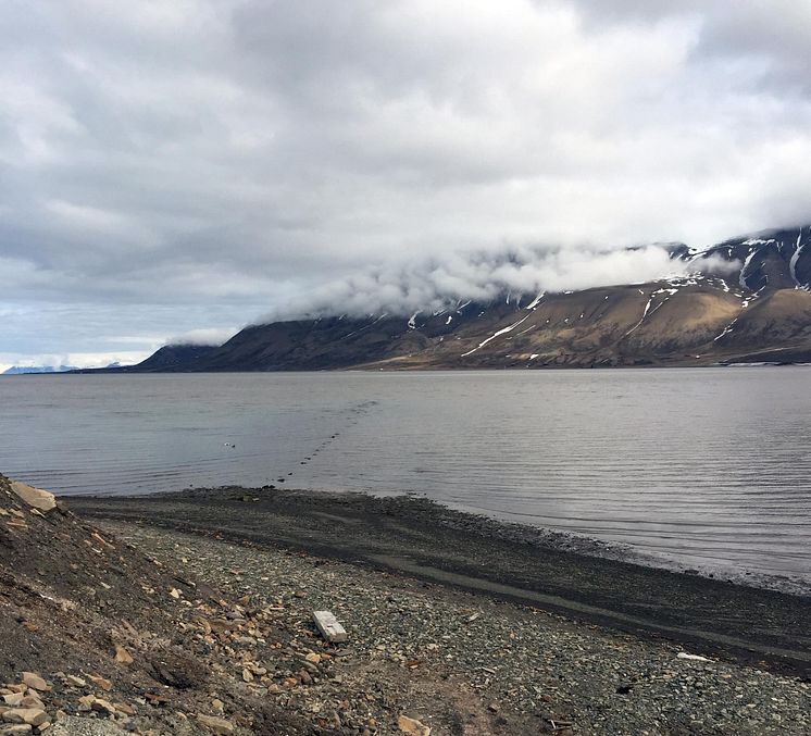 Avløpsrør ut i Adventfjorden foto Dorte Herzke NILU