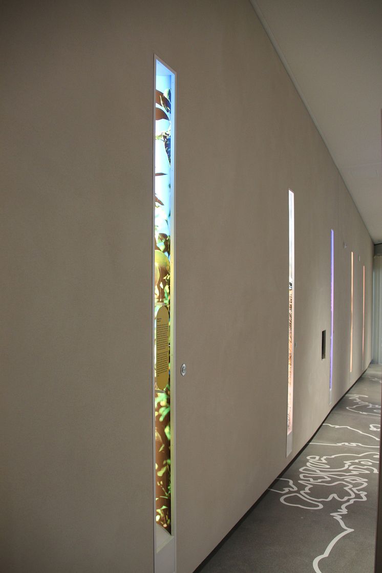 Sensoria Holzminden I Galerie der Düfte.JPG