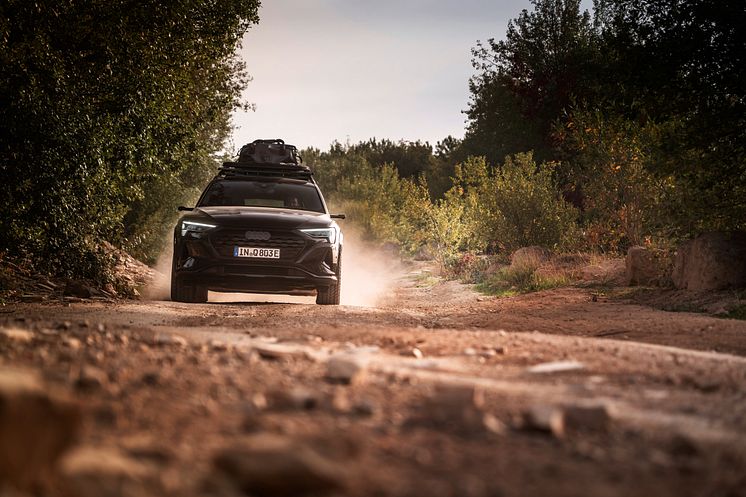 Audi Q8 e-tron edition Dakar