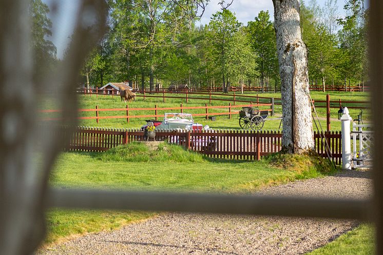 Veteranfordon på gårdsplan