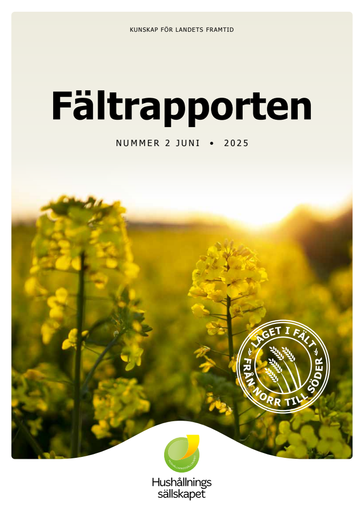 Fältrapporten 2025 06_lr.pdf