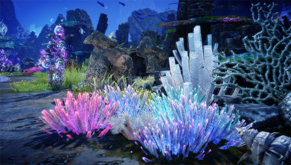 LA_IndigoKey_240801__10__Coral_580x330.png