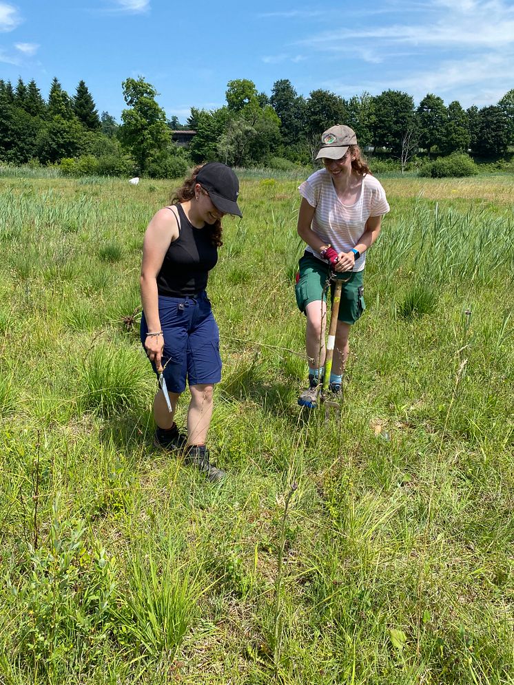 Lernende der Gartenbauschule Hünibach im Einsatz im Naturschutzgebiet