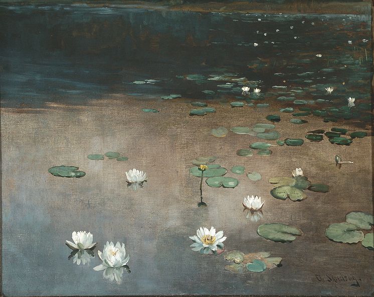 Christian Skredsvig, Vannliljer, ca. 1890. Privat ägo. 