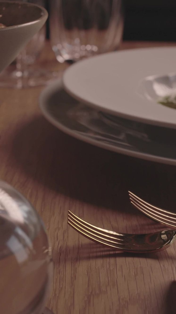 sonetto_hochformat_gegraded_1080p.mp4