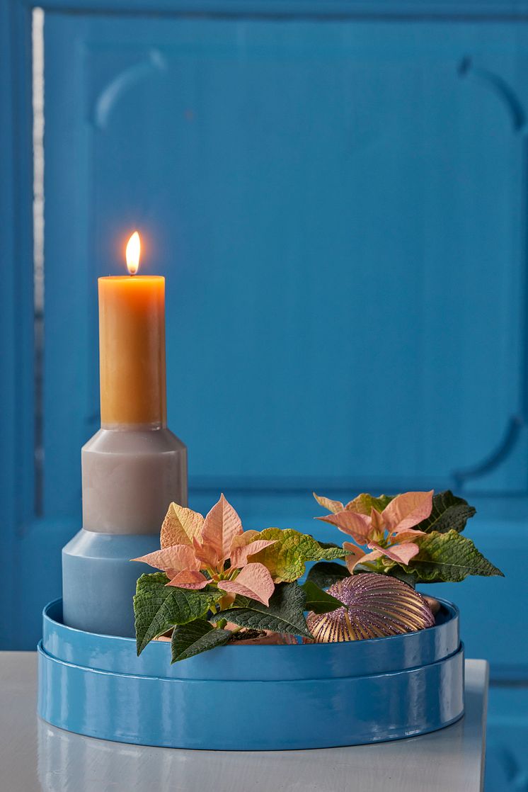 Julblommor_2024_klassiska