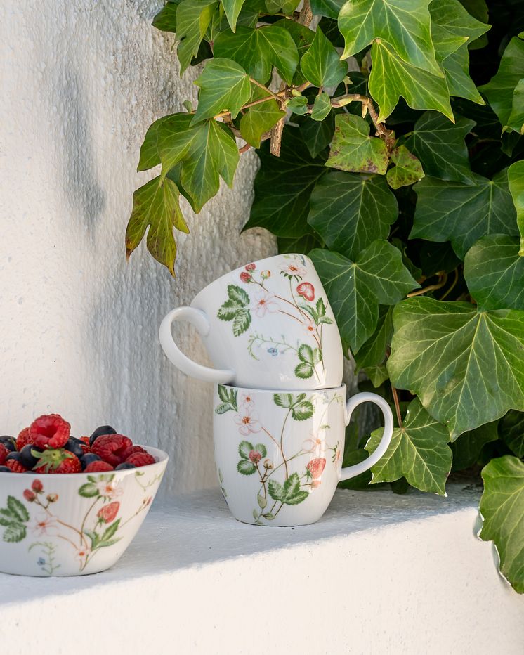 Nordic Dawn mugg 32 cl och skål 15 cm, Sommar