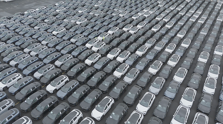 BYD_01 (2).png