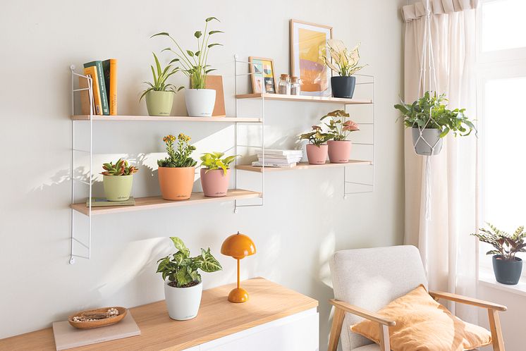 In fünf Trendfarben erhältlich: CLASSICO Color DECO