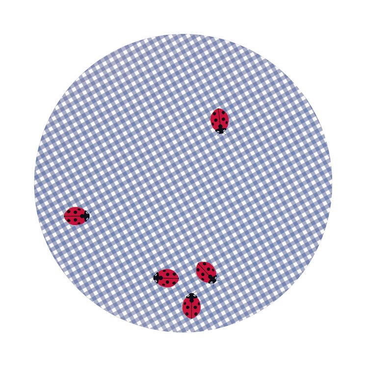 89471-10 PLACE MAT EVA ROUND LADYBIRD 7318161534085.jpg