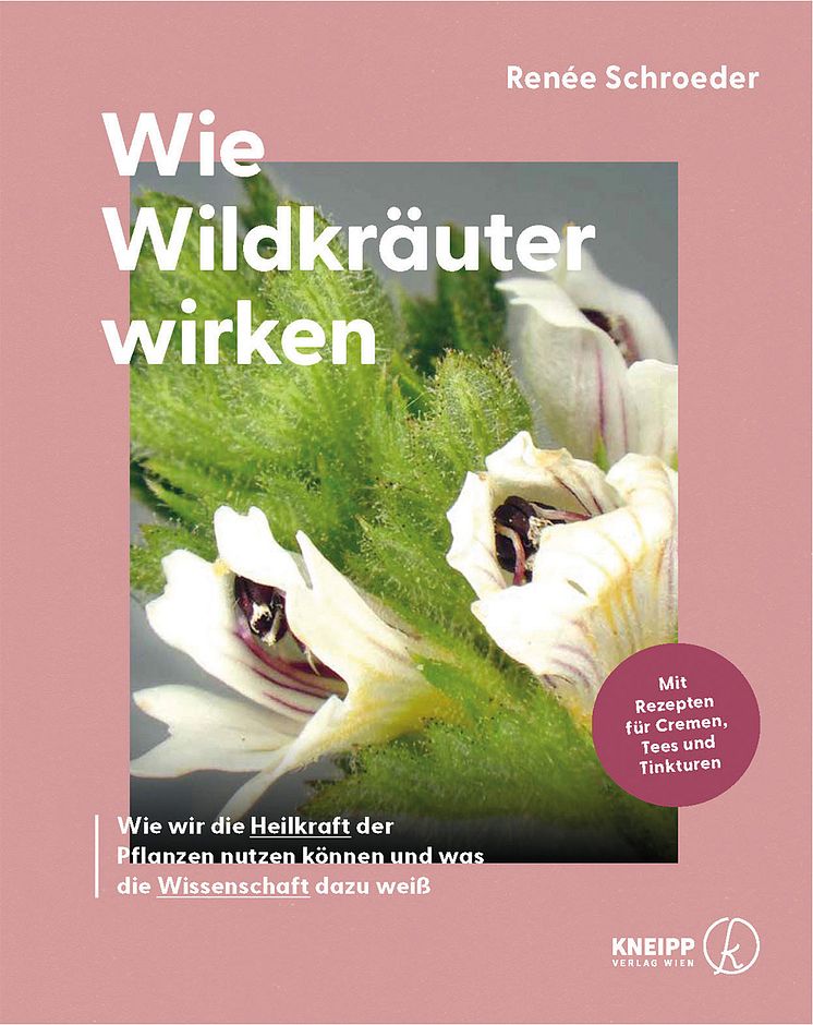 Cover Wie Wildkräuter wirken