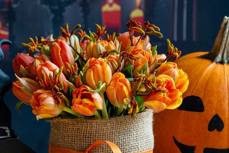 Tulpaner och pumpa till halloween