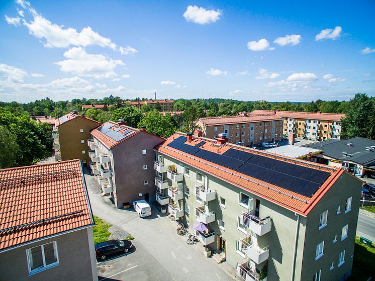 Skidstaven_02.jpg